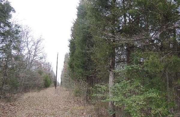 25 Acres of Land for Sale in Point, Texas