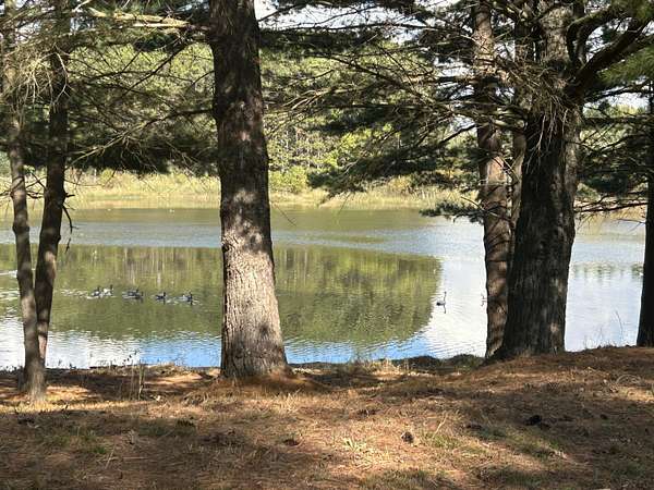 0.59 Acres of Residential Land for Sale in Stanwood, Michigan