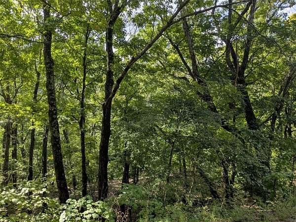 0.46 Acres of Residential Land for Sale in Holiday Island, Arkansas