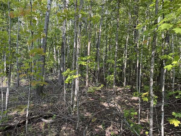 89.1 Acres of Recreational Land for Sale in Levering, Michigan