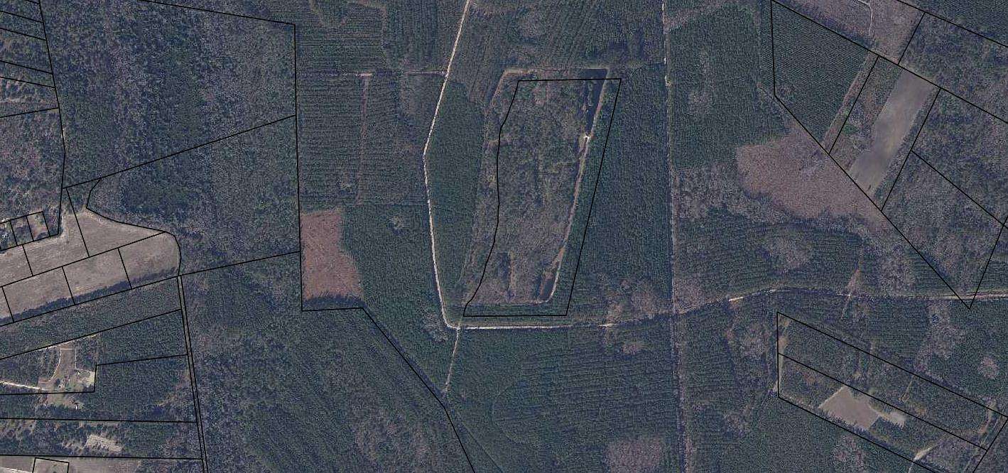 50 Acres of Recreational Land for Sale in Manning, South Carolina