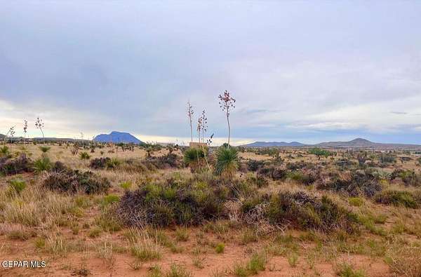 20 Acres of Land for Sale in Sierra Blanca, Texas
