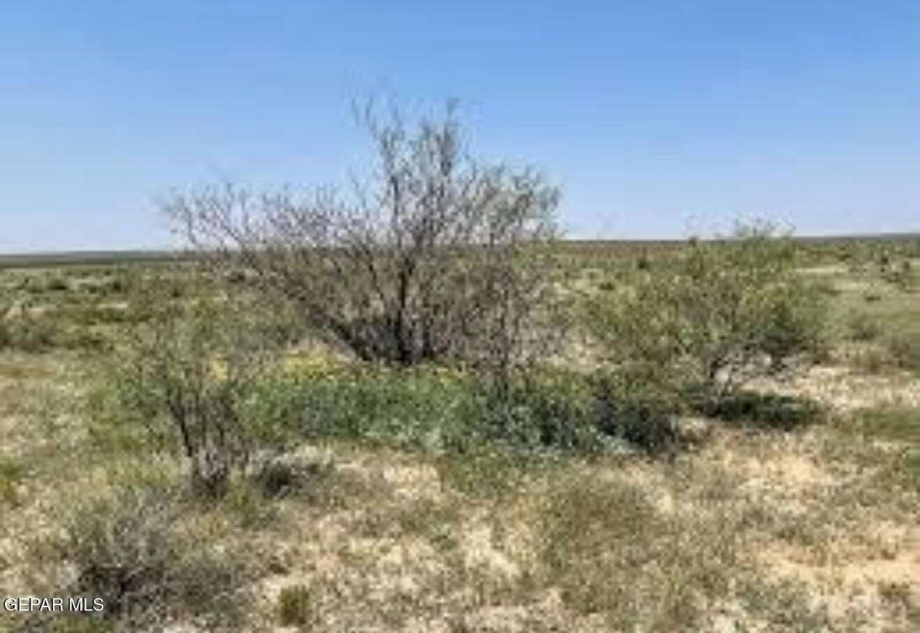24.3 Acres of Land for Sale in Sierra Blanca, Texas