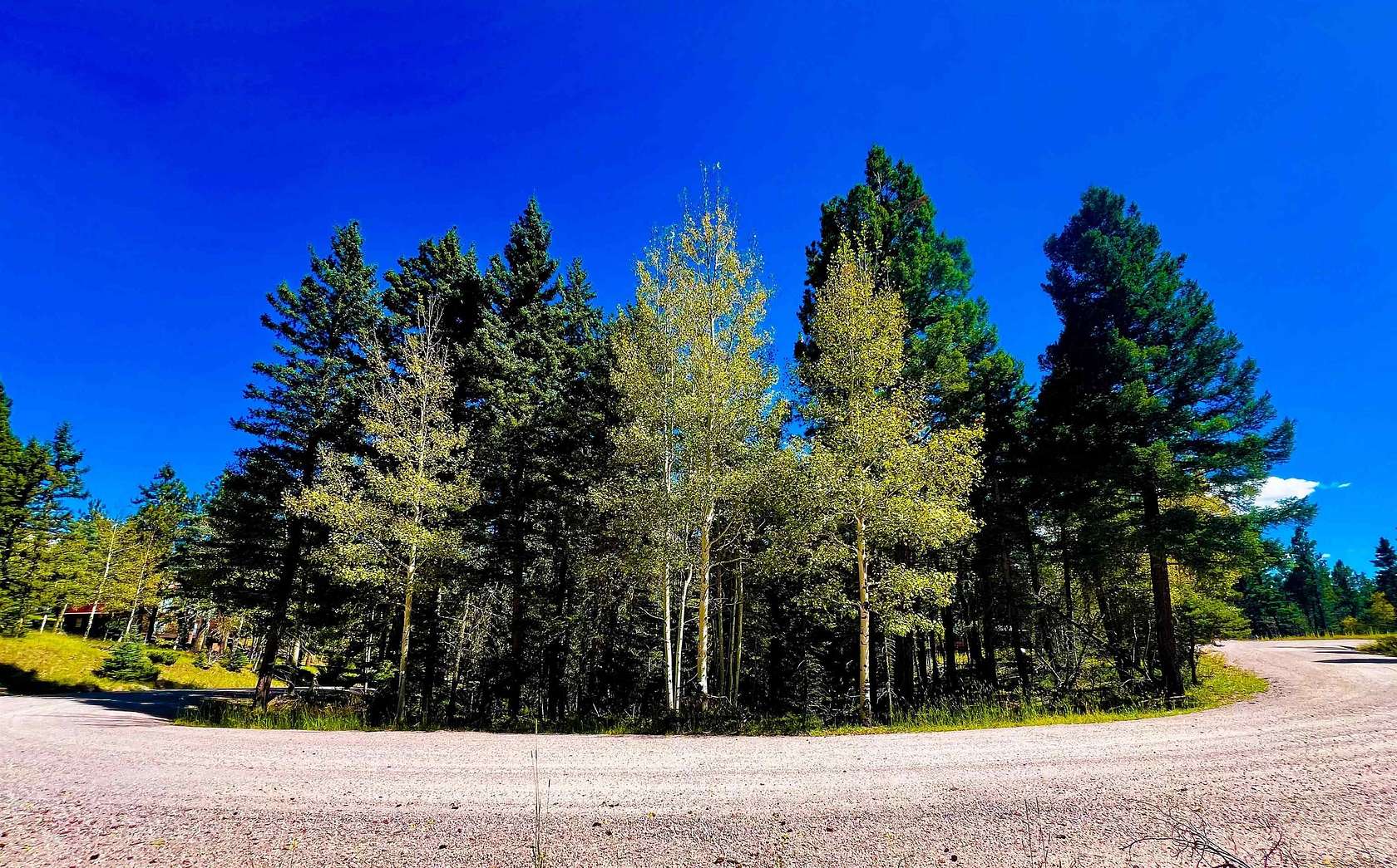 0.5 Acres of Residential Land for Sale in Angel Fire, New Mexico