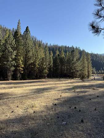 2.17 Acres of Residential Land for Sale in Twain, California