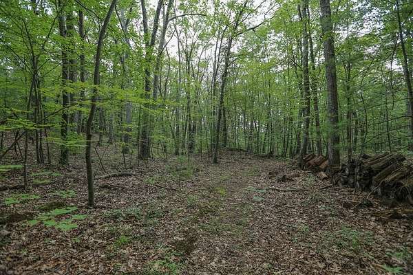 10 Acres of Land for Sale in Hudson, Massachusetts