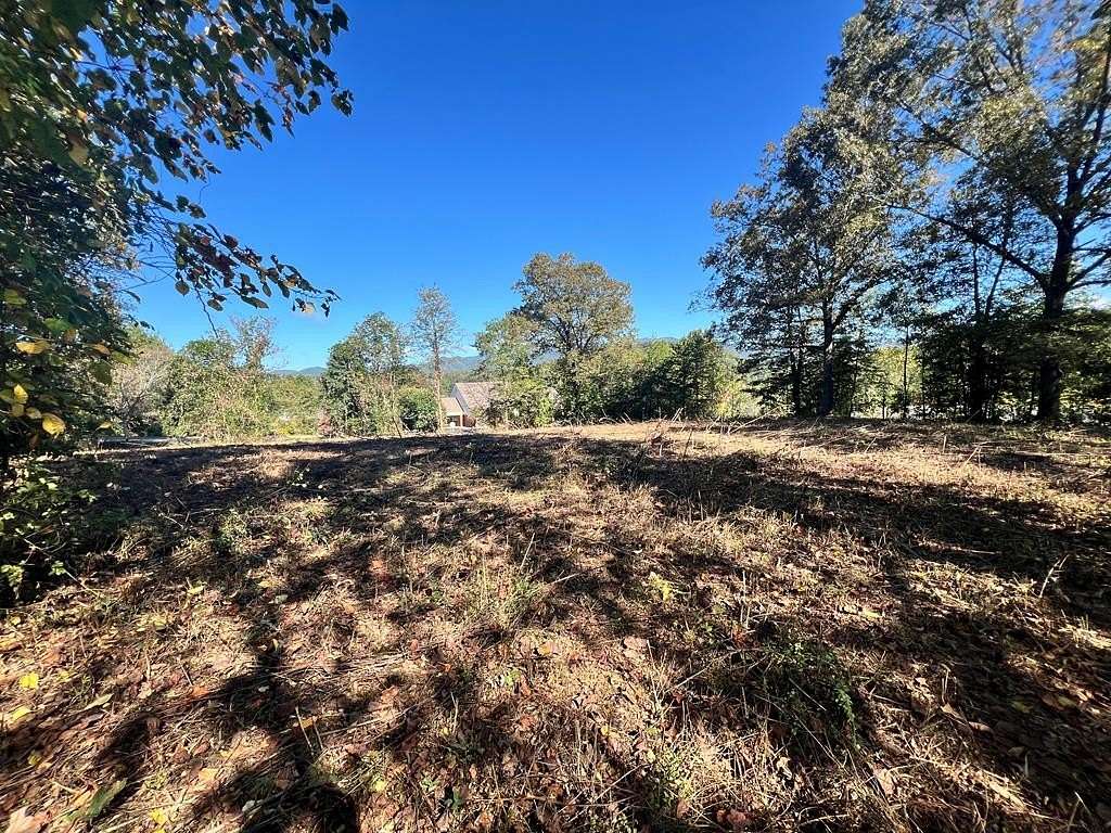 1 Acre of Commercial Land for Sale in Bryson City, North Carolina