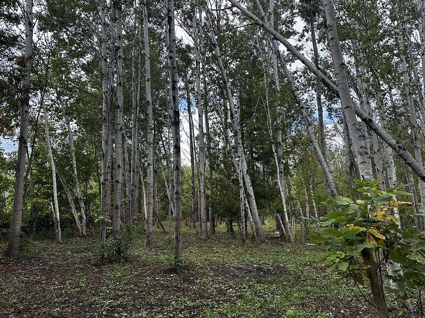 17.6 Acres of Recreational & Residential Land for Sale in Alpena, Michigan