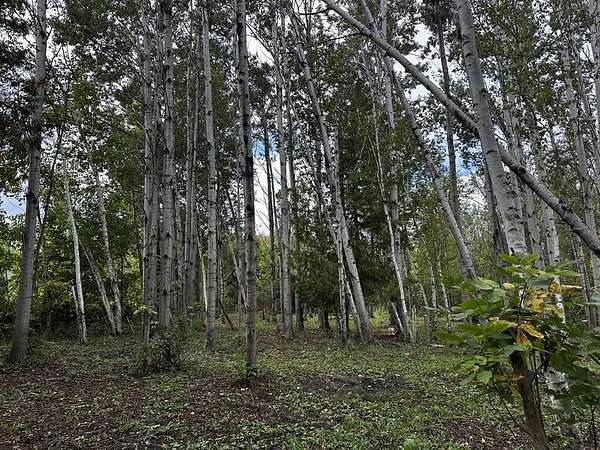 17.6 Acres of Recreational & Residential Land for Sale in Alpena, Michigan