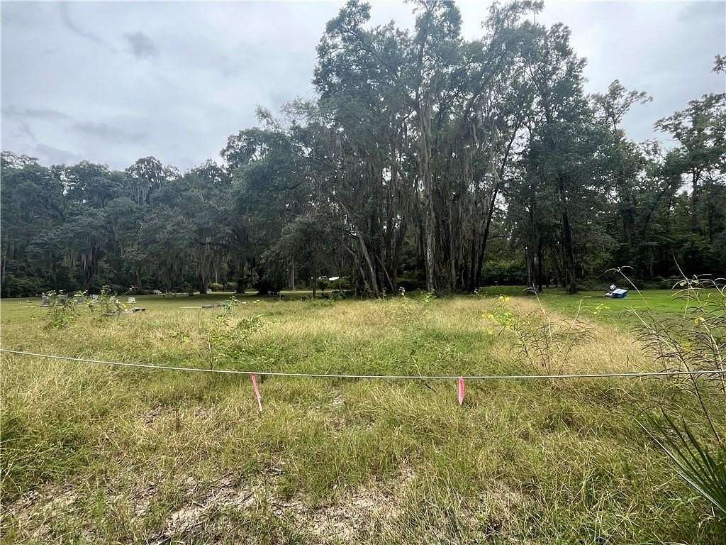 0.3 Acres of Residential Land for Sale in Townsend, Georgia
