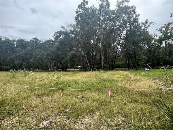 0.3 Acres of Residential Land for Sale in Townsend, Georgia