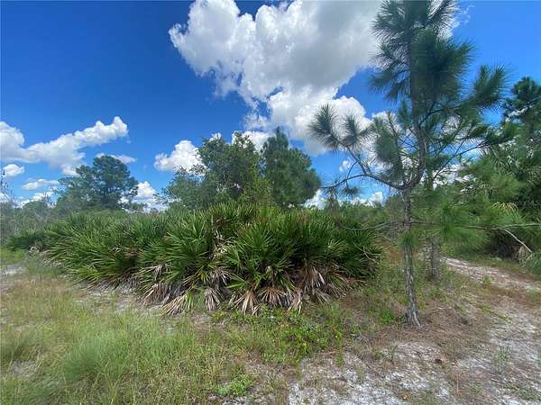 0.25 Acres of Residential Land for Sale in Lehigh Acres, Florida