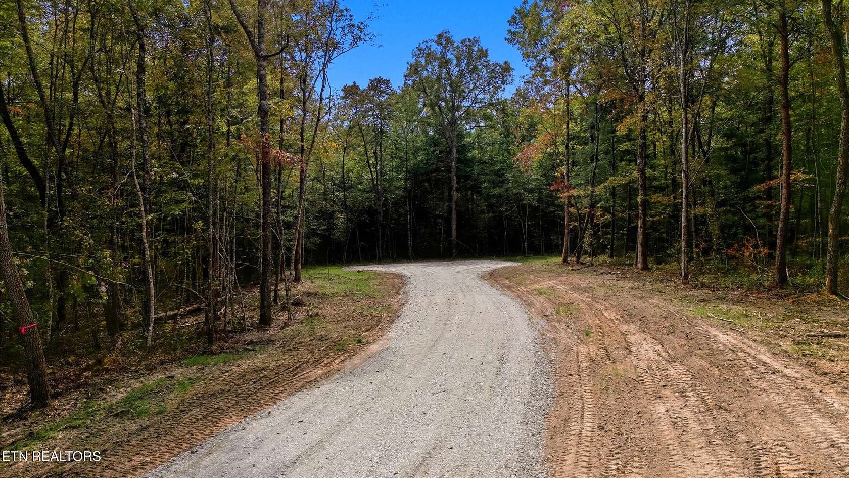 25 Acres of Recreational Land for Sale in Deer Lodge, Tennessee