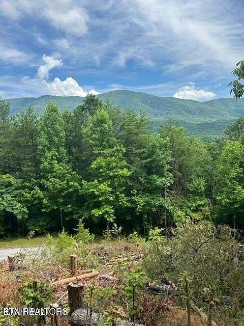 5.82 Acres of Residential Land for Sale in Tellico Plains, Tennessee
