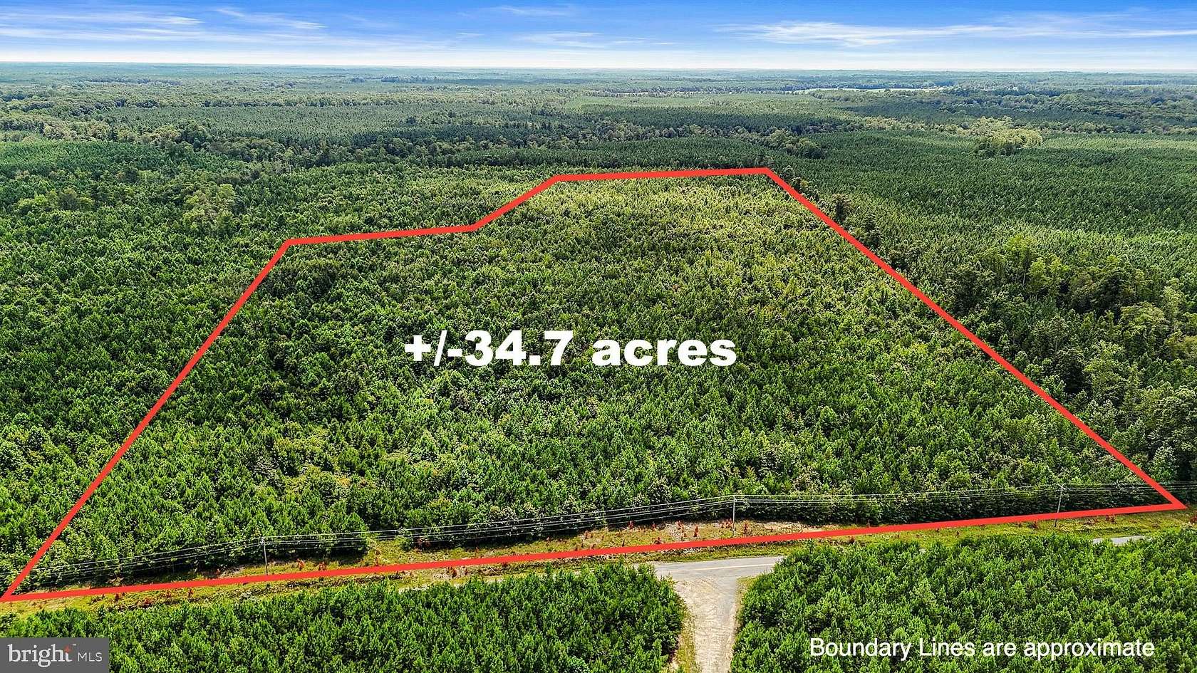 34.3 Acres of Recreational Land for Sale in Milford, Virginia