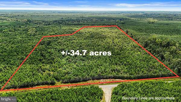 34.3 Acres of Recreational Land for Sale in Milford, Virginia