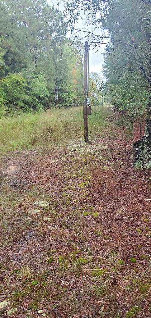 19 Acres of Recreational Land for Sale in Troy, South Carolina