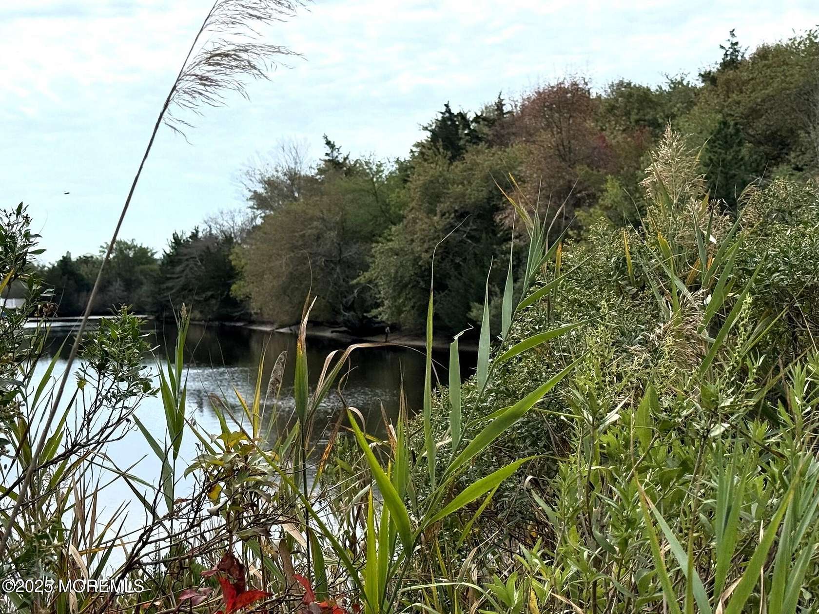 0.19 Acres of Commercial Land for Sale in Little Egg Harbor Township, New Jersey