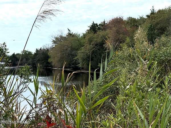 0.19 Acres of Commercial Land for Sale in Little Egg Harbor Township, New Jersey