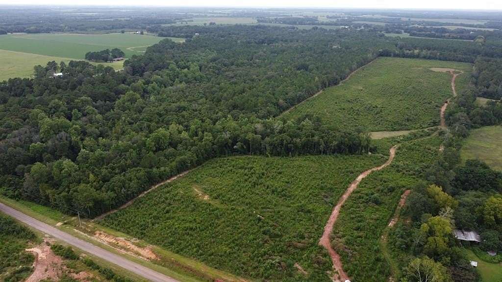 85 Acres of Recreational & Residential Land for Sale in Columbia, Alabama