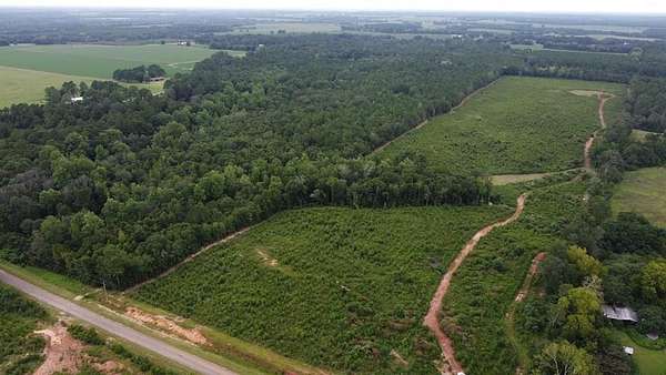 85 Acres of Recreational Land for Sale in Columbia, Alabama
