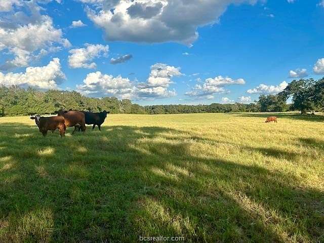 30.8 Acres of Land with Home for Sale in Normangee, Texas