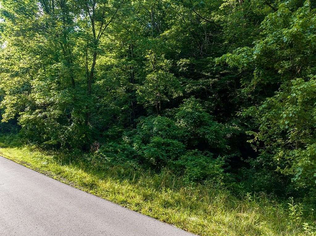 47 Acres of Recreational Land for Sale in Wallingford, Kentucky