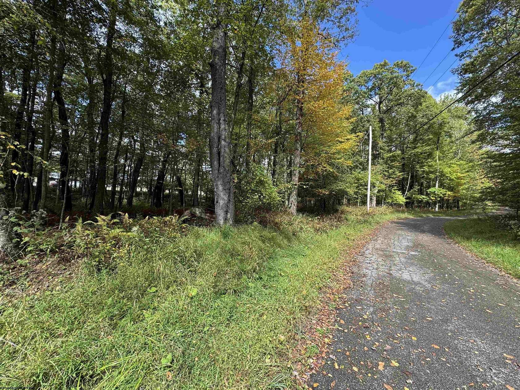 0.65 Acres of Residential Land for Sale in Terra Alta, West Virginia