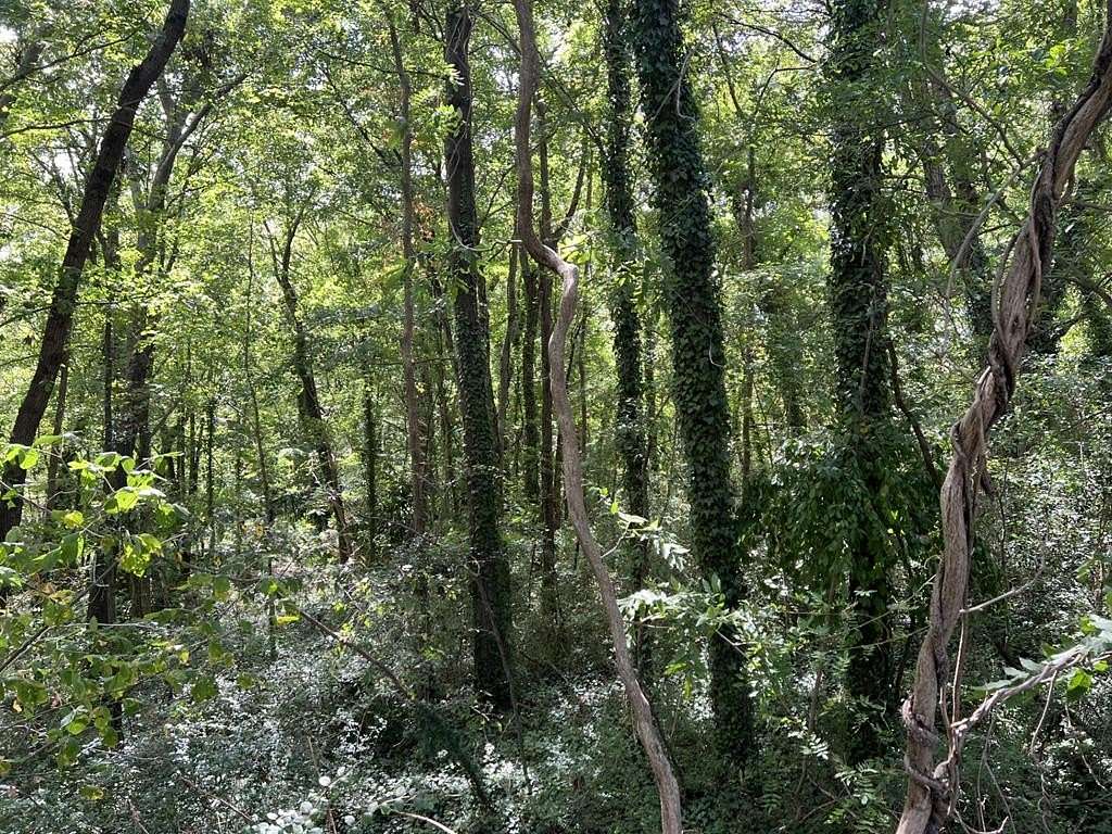 Residential Land for Sale in South Boston, Virginia