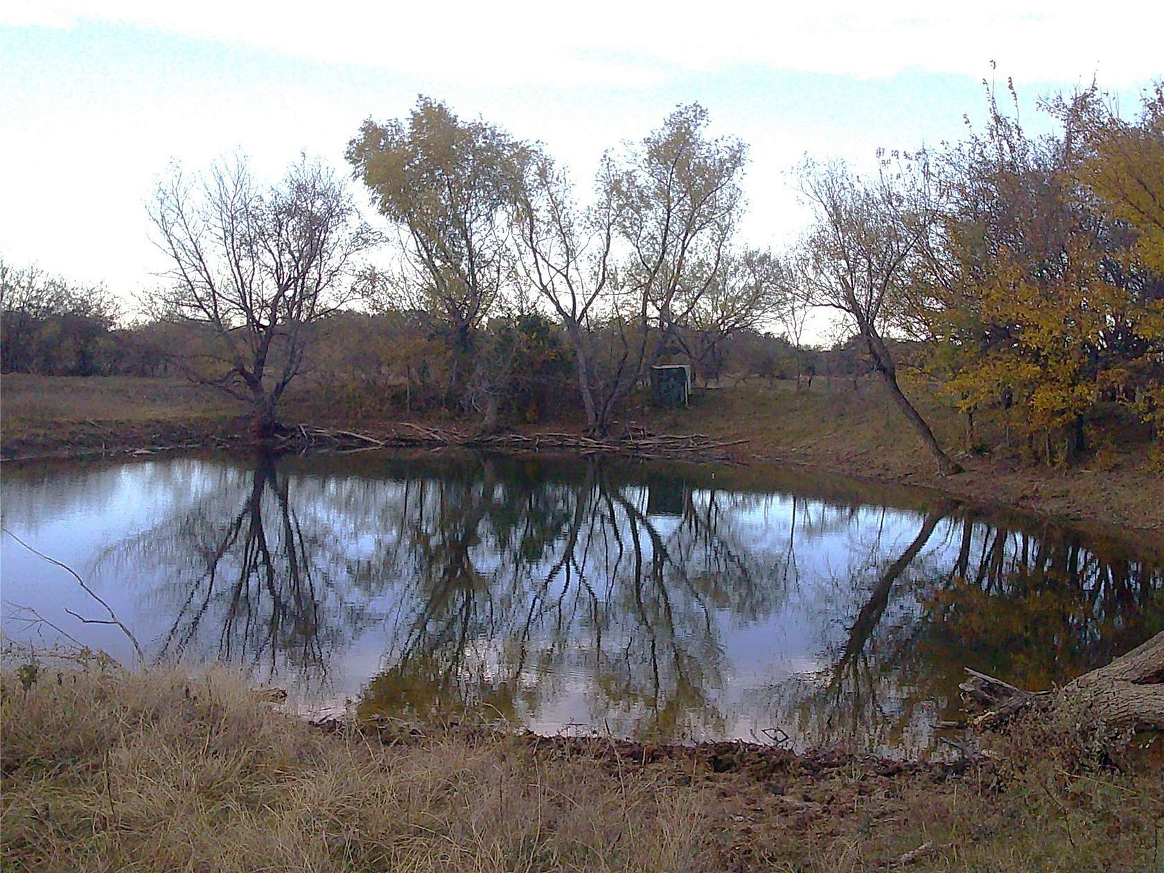 63 Acres of Land for Sale in Bridgeport, Texas