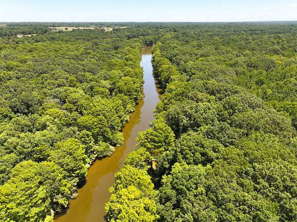 250 Acres of Recreational Land for Sale in Horatio, Arkansas