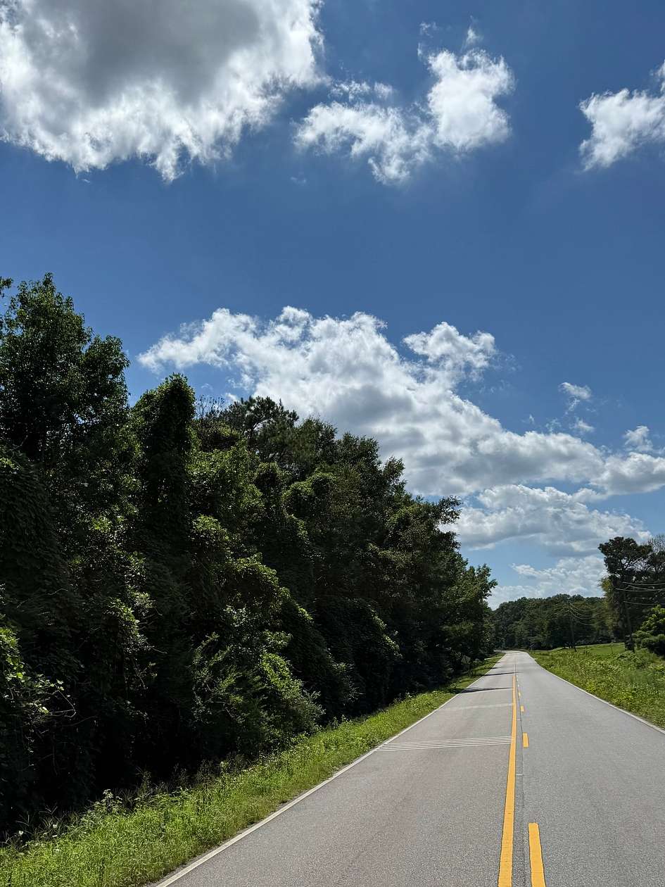 7 Acres of Mixed-Use Land for Sale in Sycamore, Alabama