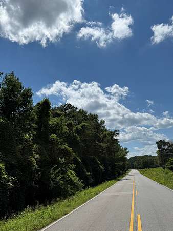 7 Acres of Mixed-Use Land for Sale in Sycamore, Alabama