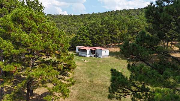 40 Acres of Recreational Land with Home for Sale in Daisy, Oklahoma