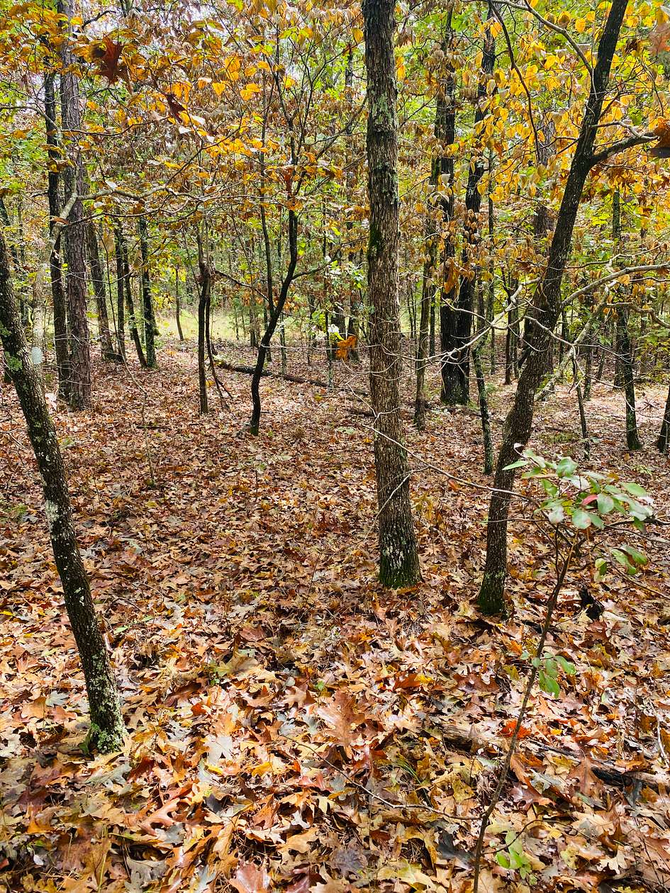 130 Acres of Recreational Land & Farm for Sale in Calico Rock, Arkansas