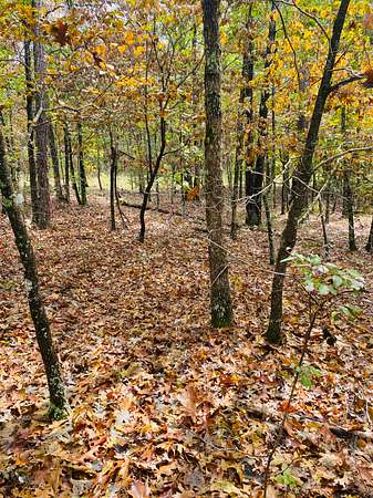 130 Acres of Recreational Land & Farm for Sale in Calico Rock, Arkansas