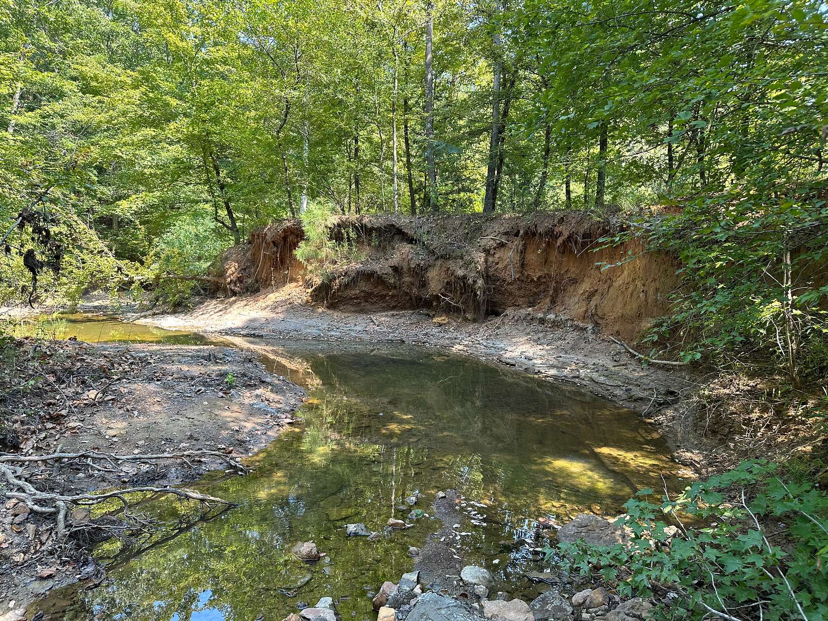 48.5 Acres of Land for Sale in Rusk, Texas