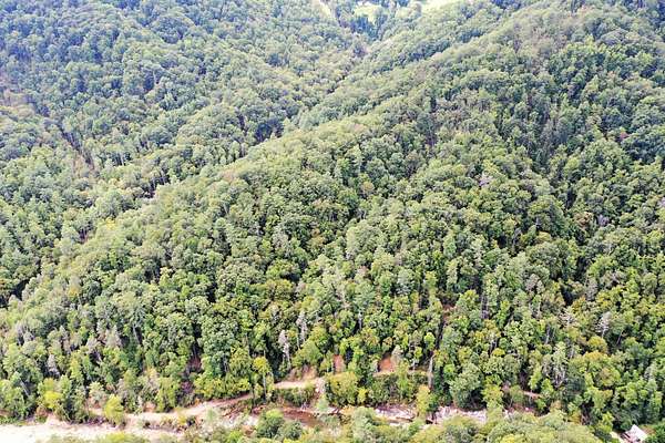 13.9 Acres of Recreational Land for Sale in Bat Cave, North Carolina