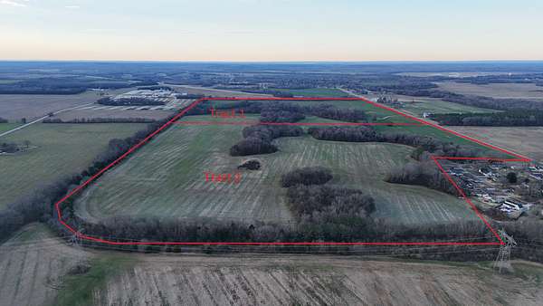 139 Acres of Land for Sale in Courtland, Alabama