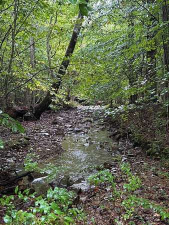 49.3 Acres of Recreational Land for Sale in Palmer, Tennessee