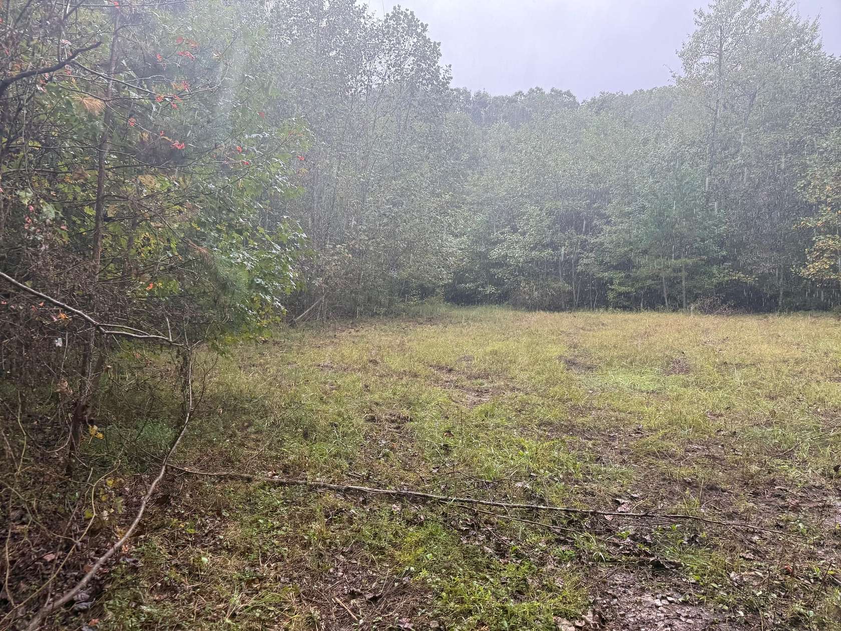 56.6 Acres of Recreational Land for Sale in Palmer, Tennessee