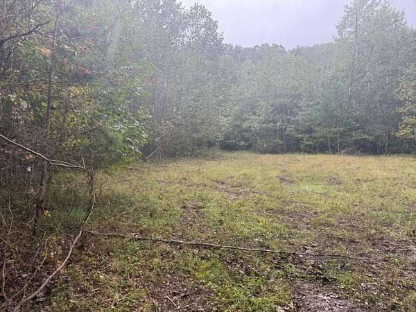 56.6 Acres of Recreational Land for Sale in Palmer, Tennessee