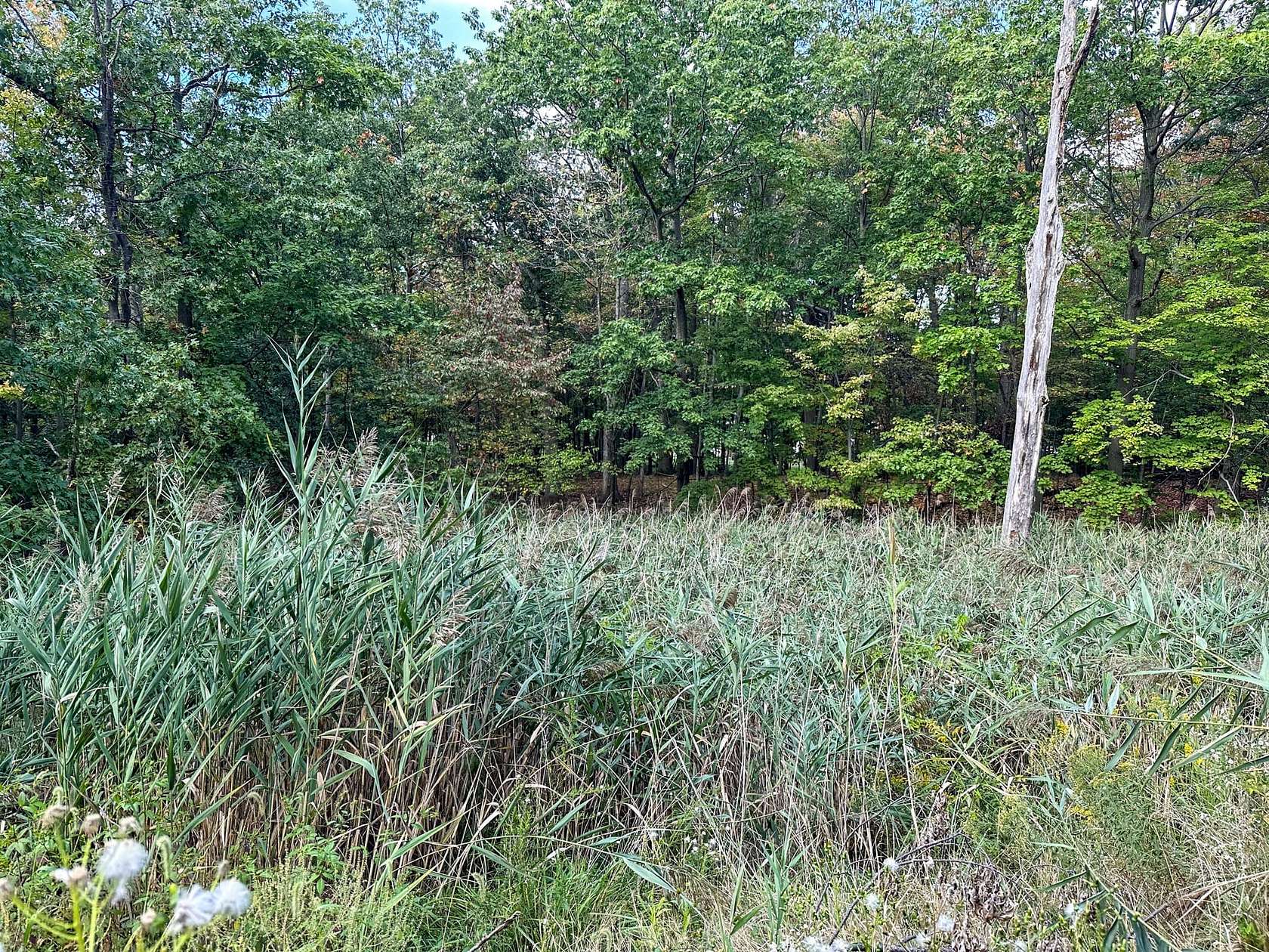 1 Acre of Residential Land for Sale in Parma, Ohio