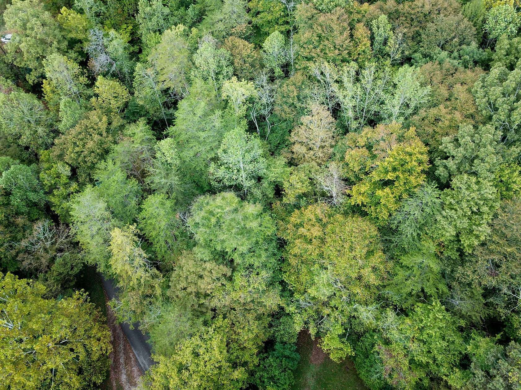 11 Acres of Recreational Land for Sale in Huntsville, Tennessee