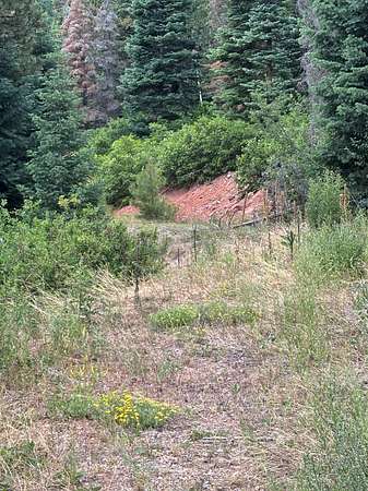 5.2 Acres of Agricultural Land for Sale in Chama, New Mexico