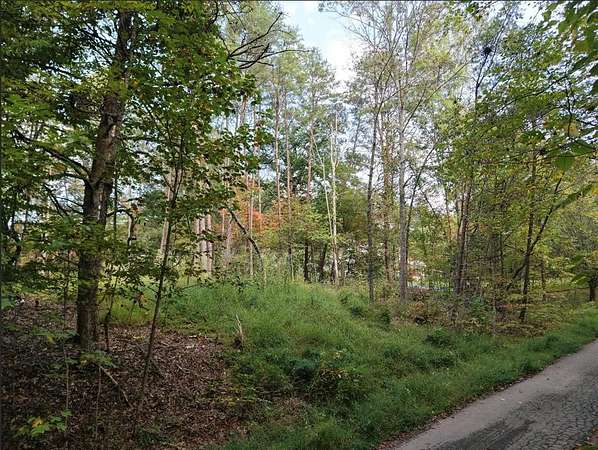 0.75 Acres of Land for Sale in Blue Ridge, Georgia