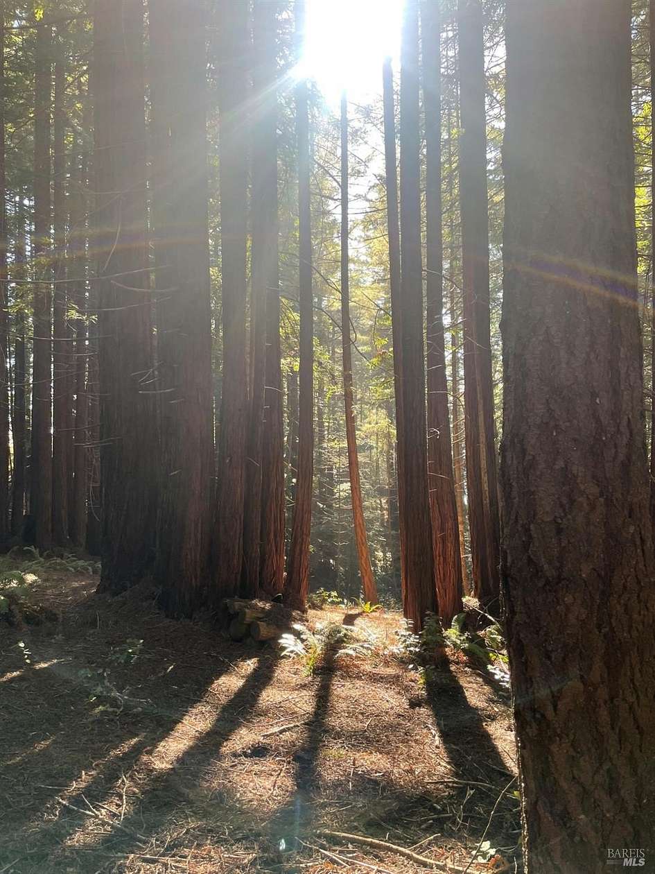 0.47 Acres of Residential Land for Sale in Sea Ranch, California