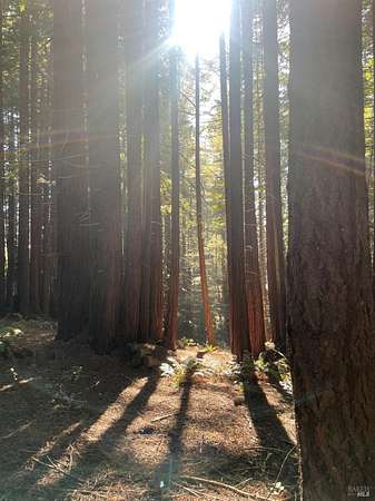 0.47 Acres of Residential Land for Sale in Sea Ranch, California