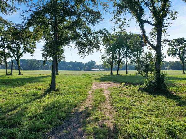 5 Acres of Residential Land for Sale in Daingerfield, Texas