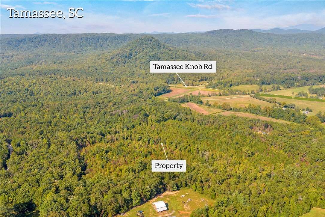 25.9 Acres of Land for Sale in Tamassee, South Carolina